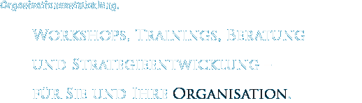 Workshops, Trainings, Beratung und Strategieentwicklung – für Sie und Ihre Organisation.